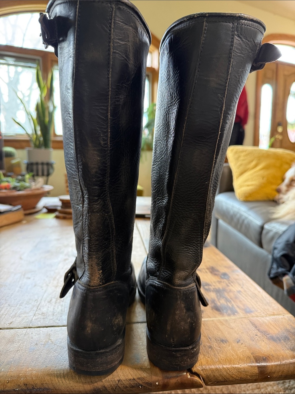 FRYE Veronica Slouch Tall Black Leather Moto Boots – Size 8.5 - Picture 4 of 6